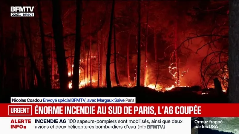 LES IMAGES DE L’IMPRESSIONNANT INCENDIE EN SEINE-ET-MARNE, À PROXIMITÉ DE LA COMMUNE D’ARBONNE-LA-FORÊT
