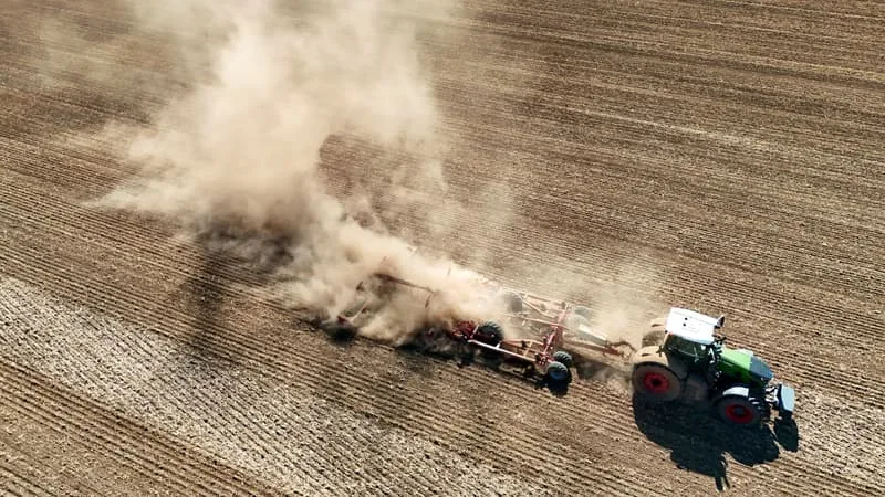 MAÏS, POMMES DE TERRE, BETTERAVES: COMME EN FRANCE, LES AGRICULTEURS ALLEMANDS CRAIGNENT AUSSI DES RÉCOLTES FAIBLES VOIRE « TOTALEMENT PERDUES » À CAUSE DE LA SÉCHERESSE ET DE LA CANICULE