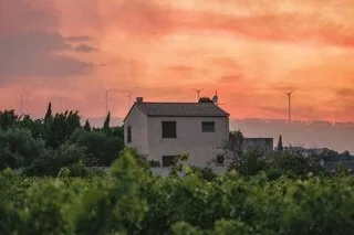 DES INCENDIES FRAPPENT L’AUDE, L’HÉRAULT ET LES BOUCHES-DU-RHÔNE, PLUS DE 1 000 HECTARES RAVAGÉS