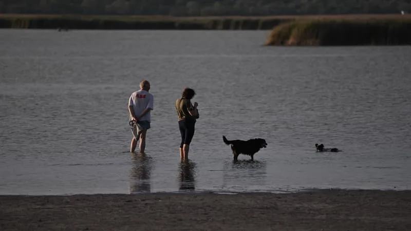 « ON PRIE POUR LA PLUIE »: EN HONGRIE, L’UN DES PLUS GRANDS LAC DU PAYS S’ASSÈCHE, SYMBOLE DE LA CRISE CLIMATIQUE