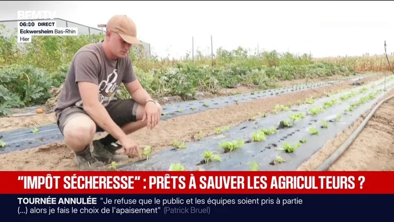 FACE À LA SÉCHERESSE, LES JEUNES AGRICULTEURS PROPOSENT UNE CONTRIBUTION SUR LE MODÈLE DE L’“IMPÔT SÉCHERESSE” DE 1976