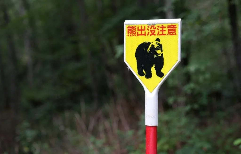 JAPON : UNE CENTAINE D’ÉCOLES FERMÉES, DES DIZAINES DE CHASSEURS MOBILISÉS… PLUSIEURS SIGNALEMENTS D’OURS À UTSUNOMIYA