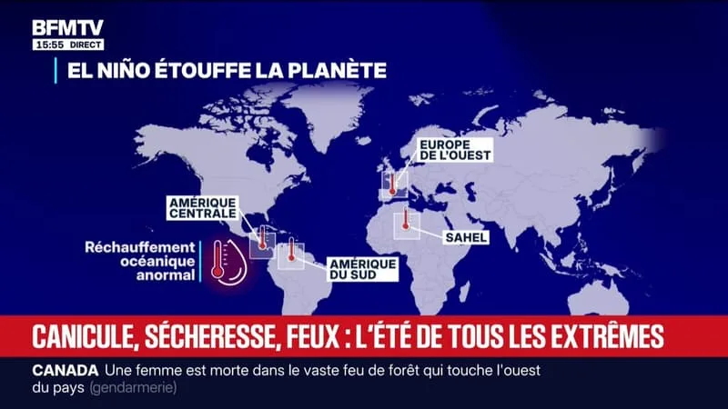 CANICULE, SÉCHERESSE, INONDATIONS ET FEUX DE FORÊTS: L’ÉTÉ DE TOUS LES EXTRÊMES AUX QUATRE COINS DU MONDE