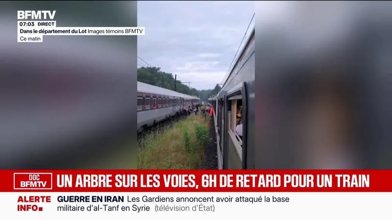 UN TRAIN TOULOUSE-PARIS BLOQUÉ PLUSIEURS HEURES EN RAISON D’UN CHUTE D’ARBRE SUR LES VOIES
