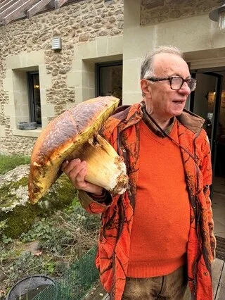 « ON DIRAIT UN BOUCLIER GAULOIS » : À 70 ANS, JEAN DÉCOUVRE UN CHAMPIGNON GÉANT QUI PÈSE 2,750 KG