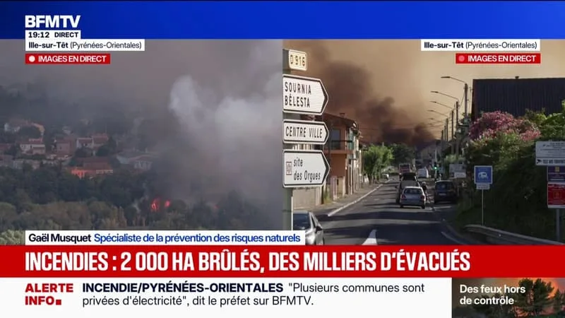 INCENDIES: « LES PYRÉNÉES-ORIENTALES SOUFFRENT DE SÉCHERESSE DEPUIS PLUSIEURS ANNÉES », OBSERVE GAËL MUSQUET, SPÉCIALISTE DE LA PRÉVENTION DES RISQUES NATURELS