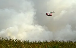 INCENDIE DANS LES LANDES : REPRISE DE FEU DANS LA NUIT, PRÈS DE 1 600 HECTARES BRÛLÉS