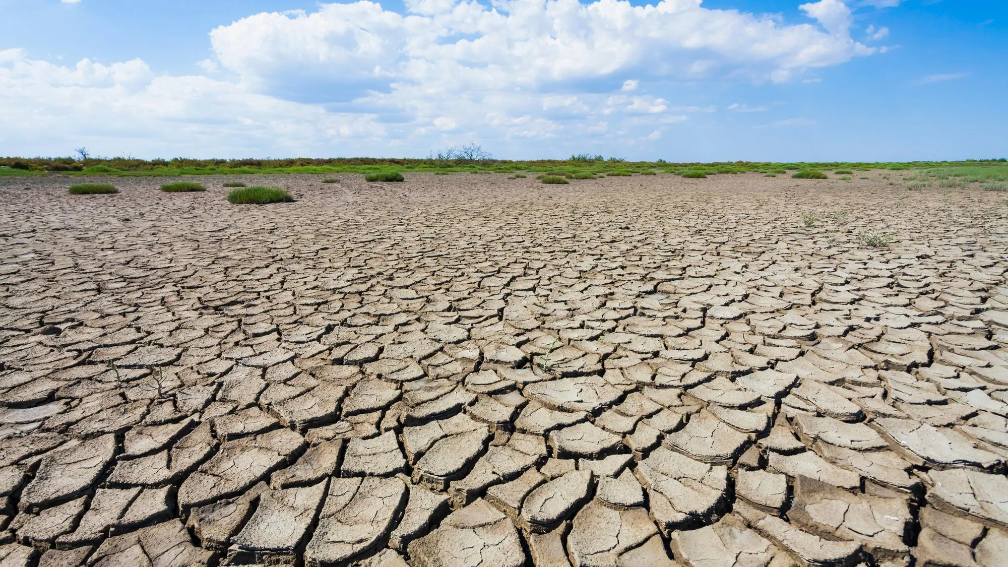 RÉCHAUFFEMENT CLIMATIQUE : AVEC DES HAUSSES RECORDS DES TEMPÉRATURES, L’OBJECTIF DE L’ACCORD DE PARIS BIENTÔT DÉPASSÉ