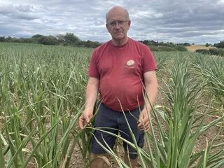« LA PIRE RÉCOLTE DEPUIS 35 ANS » : FACE AUX CANICULES, LA CRAINTE DES PRODUCTEURS DE MAÏS ET DE TOUTE L’AGRICULTURE