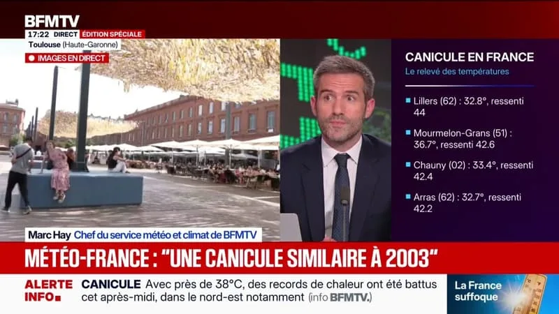 CANICULE: DES RECORDS DE CHALEUR SONT BATTUS DANS LE NORD-EST DE LA FRANCE