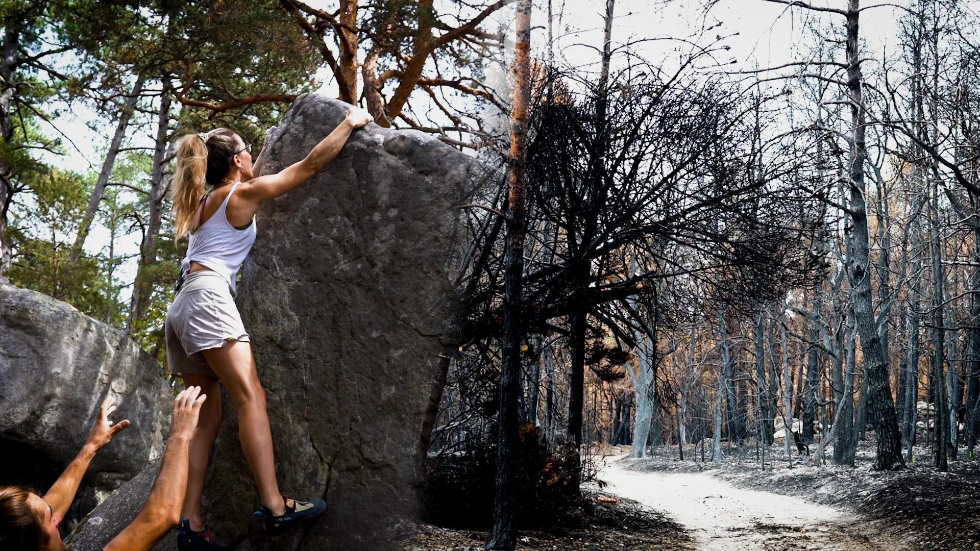 AVEC L’INCENDIE DE FONTAINEBLEAU, LES GRIMPEURS EN PLEINE CRISE EXISTENTIELLE, S’INTERROGENT SUR LA FORÊT DE « L’APRÈS »