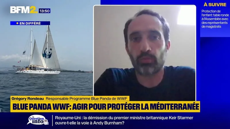 DÉRÈGLEMENT CLIMATIQUE ET VAGUES DE CHALEUR: QUELS IMPACTS SUR LES ESPÈCES ET LES ÉCOSYSTÈMES DE LA MER MÉDITERRANÉE ?