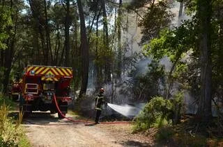 « ÇA FAIT PEUR » : 8 000 M² DE RÉSINEUX CALCINÉS DANS UNE FORÊT PRIVÉE EN SARTHE
