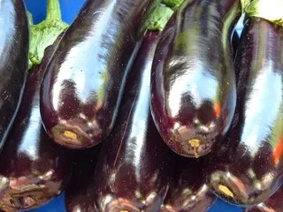 NE MANGEZ PAS CES AUBERGINES : ELLES CONTIENNENT TROP D’ACÉTAMIPRIDE, CE PESTICIDE TRÈS CONTROVERSÉ