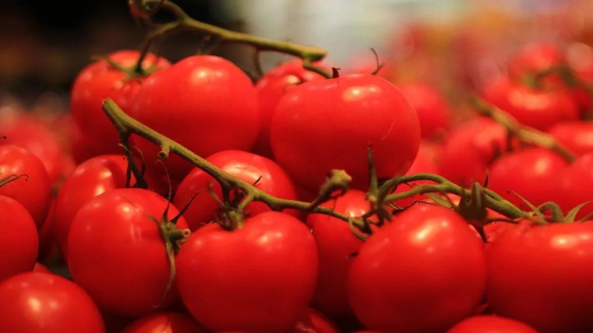 QUELS SONT LES FRUITS ET LÉGUMES LES PLUS IMPACTÉS PAR LA SÉCHERESSE ET LES CANICULES ?
