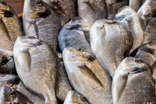 « ON EST UN PEU DÉGOÛTÉS » : DES DIZAINES DE POISSONS À NOUVEAU RETROUVÉS MORTS DANS UN ÉTANG DE LA SOMME