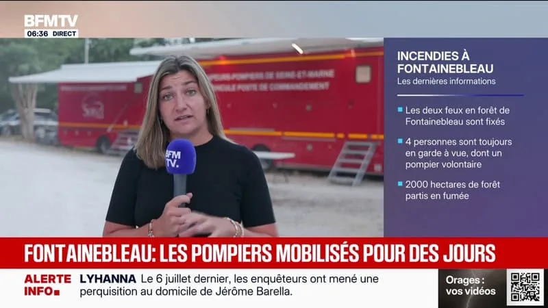INCENDIES: LES DEUX FEUX DE LA FORÊT DE FONTAINEBLEAU SONT « FIXÉS », MAIS PAS ENCORE ÉTEINTS