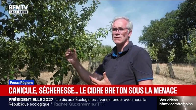 FOCUS RÉGIONS – 24/08