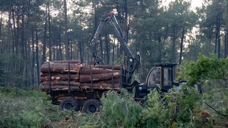INCENDIE EN GIRONDE: UNE ASSOCIATION ANTI-CORRUPTION PORTE PLAINTE APRÈS LA CRÉATION D’UN PARE-FEU AU CAP FERRET PAR UN HOMME D’AFFAIRES