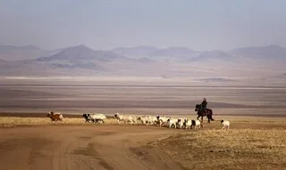 COP17 CONTRE LA DÉSERTIFICATION : C’EST QUOI CE SOMMET QUI S’OUVRE AUJOURD’HUI EN MONGOLIE ?