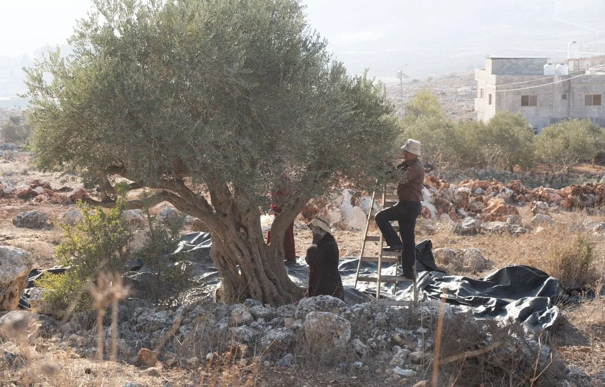 CISJORDANIE : UN MAIRE FRANÇAIS AGRESSÉ PAR DES COLONS ACCUSE ISRAËL DE « TOLÉRER » LEURS VIOLENCES