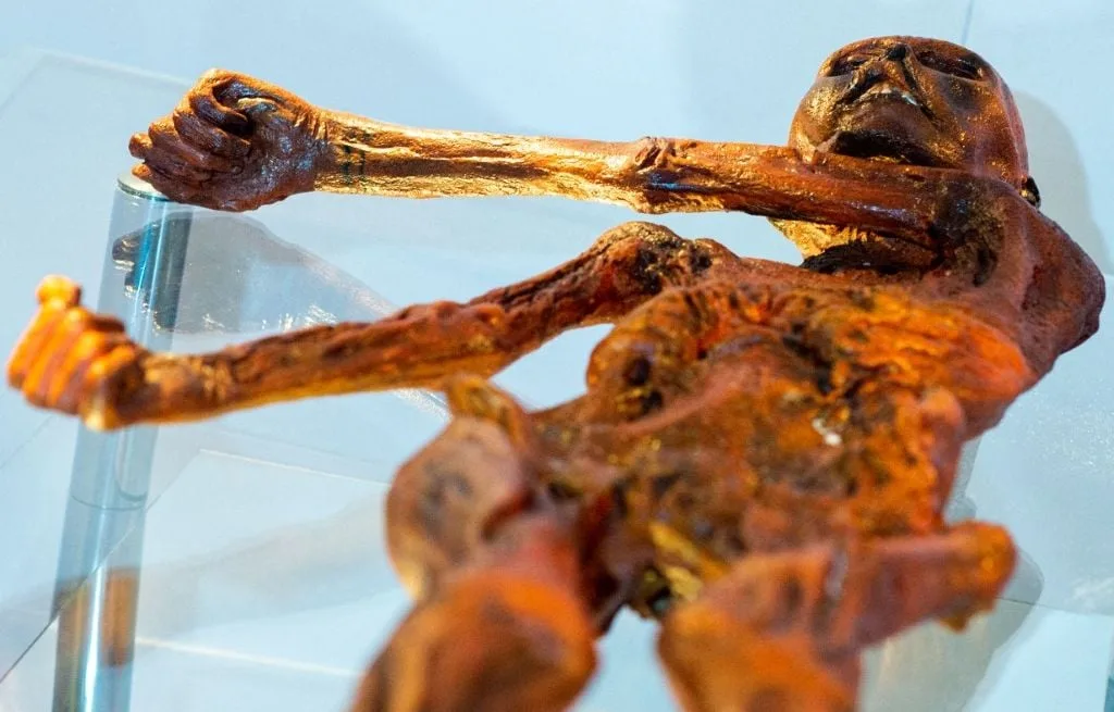 DES CHERCHEURS TROUVENT DE LA LEVURE DANS LES INTESTINS D’ÖTZI… ET EN FONT DU PAIN