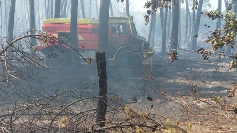 INCENDIES EN FRANCE: LE FEU N’A PAS PROGRESSÉ DANS LA DRÔME, 15 HECTARES BRÛLÉS DANS LE SUD DE LA GIRONDE
