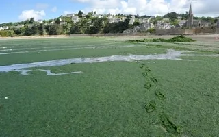 UNE PLAGE DE CINÉMA. LE THRILLER ENVIRONNEMENTAL DE PIERRE JOLIVET TOURNÉ DANS LES CÔTES-D’ARMOR