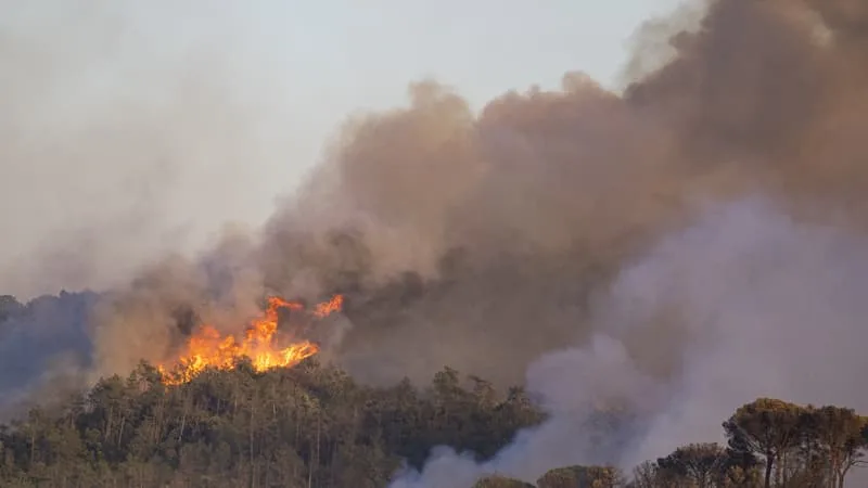 « J’AI TOUT PERDU »: EN ESPAGNE, LES HABITANTS DE LA RÉGION TOUCHÉE PAR L’INCENDIE MEURTRIER RACONTENT LEUR ÉVACUATION