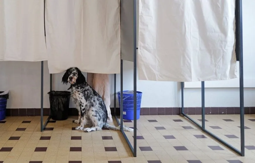 PRÉSIDENTIELLE 2027 : LES SONDEURS NE VEULENT PAS QUE LES CANDIDATS SOIENT DÉPARTAGÉS GRÂCE À LEURS SONDAGES