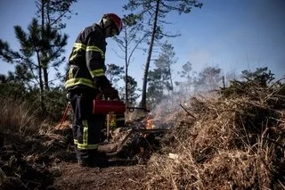 « ON EST À UN POINT DE BASCULE » : QUELLES SOLUTIONS POUR FAIRE FACE À LA MULTIPLICATION DES FEUX DE FORÊT ?