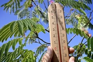 INFOGRAPHIES. CANICULE : LA JOURNÉE DU 13 AOÛT PARMI LES PLUS CHAUDES ENREGISTRÉES EN FRANCE, 2026 DOMINE LE CLASSEMENT