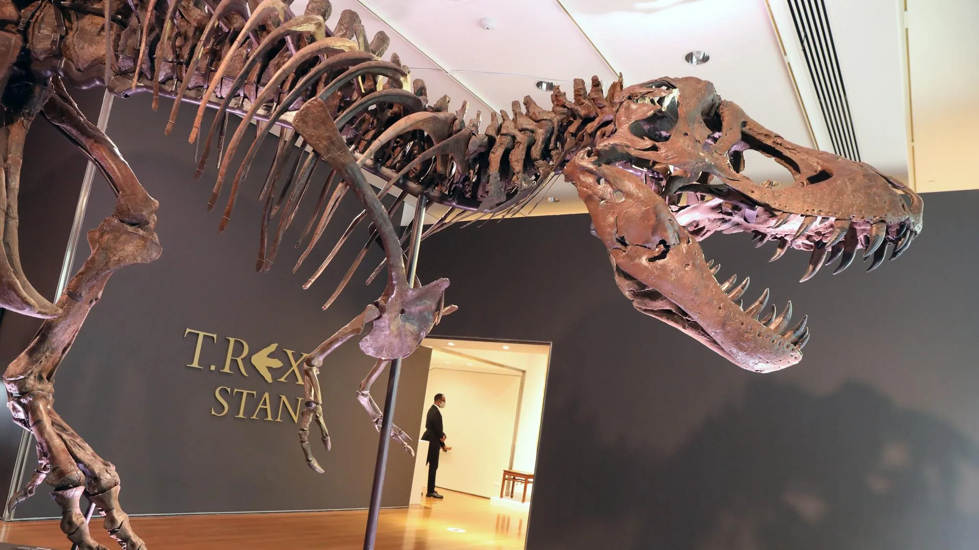 UN SAC À MAIN EN CUIR DE T-REX MIS EN VENTE À PARIS, UNE PREMIÈRE