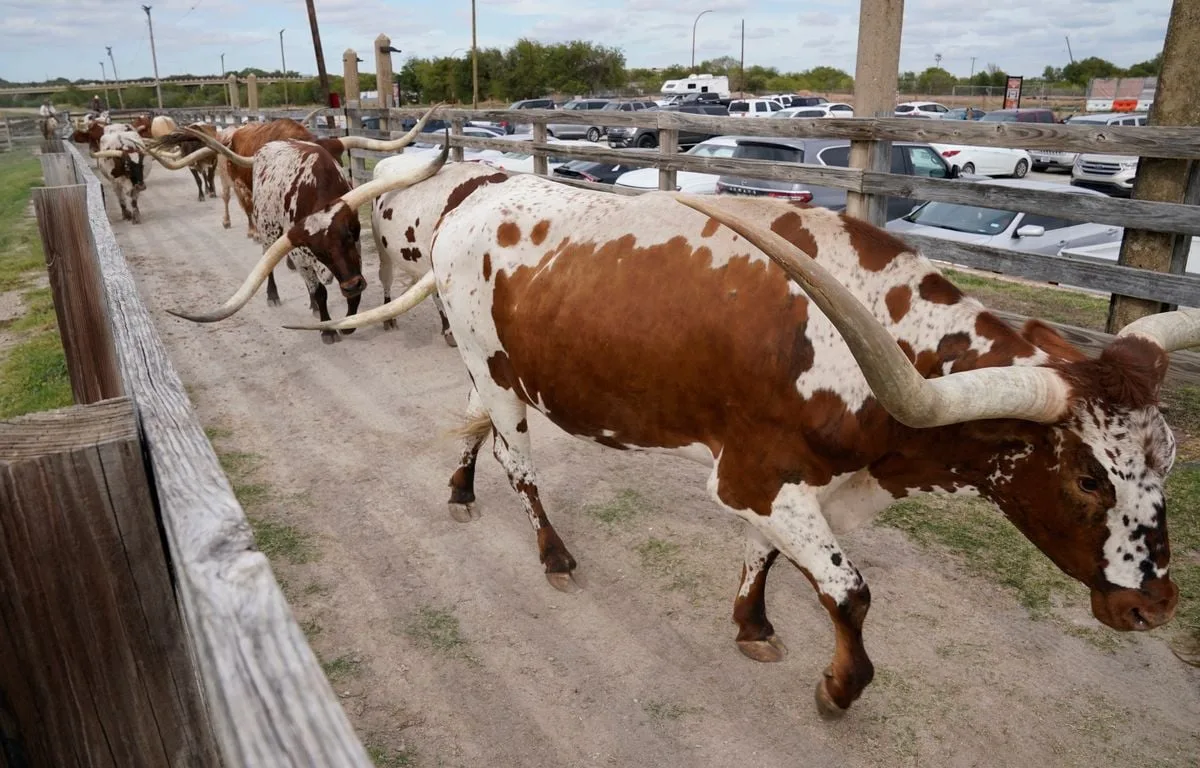 ETATS-UNIS : UN CAS SUSPECT D’UN PARASITE DÉVASTATEUR POUR LE BÉTAIL SIGNALÉ DANS LE SUD DU TEXAS