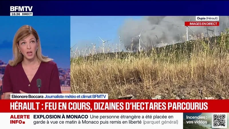 MARSCHALL TRUCHOT : HÉRAULT : FEU EN COURS, DES DIZAINES D’HECTARES PARCOURUS – 01/07