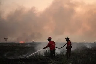 « NOUS DEVONS TENIR BON » : EN INDONÉSIE, 200 000 HECTARES BRÛLÉS, LE PIRE EST À VENIR SELON LES AUTORITÉS
