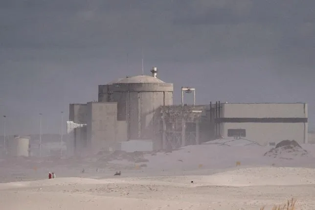 UN AMAS DE SARDINES MORTES BLOQUE L’UNIQUE CENTRALE NUCLÉAIRE SUD-AFRICAINE