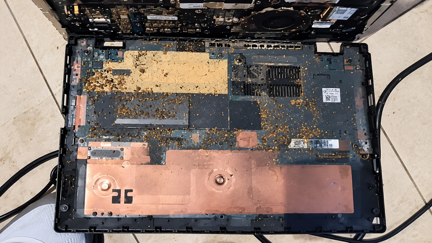 CE PC PORTABLE RECONDITIONNÉ RÉSERVAIT UNE SURPRISE RÉPUGNANTE : QUE FAIRE DANS UN TEL CAS ?