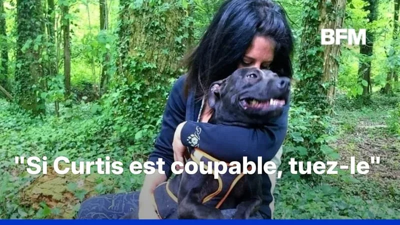 MORT D’ELISA PILARSKI: CHRISTOPHE ELLUL CONDAMNÉ À QUATRE ANS DE PRISON AVEC SURSIS, L’EUTHANASIE DU CHIEN CURTIS ORDONNÉE