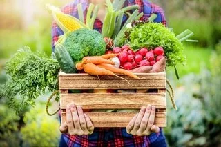 QUIZ. ÊTES-VOUS INCOLLABLE SUR LES EXPRESSIONS AVEC DES FRUITS ET LÉGUMES ?
