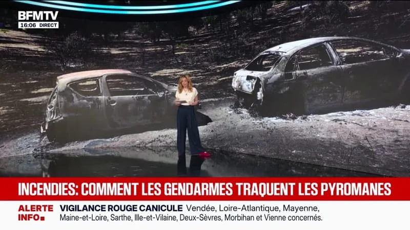 FEUX DE FORÊT: COMMENT LES ENQUÊTEURS TRAVAILLENT POUR DÉTERMINER L’ORIGINE DES INCENDIES?