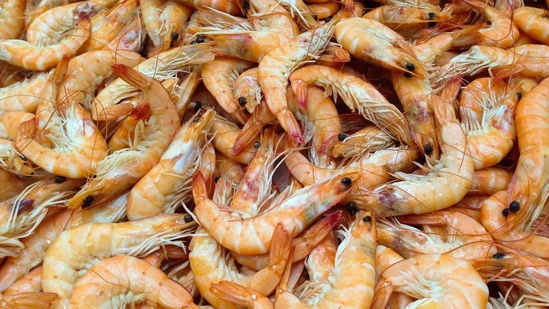 ON ARRACHE LES YEUX DES FEMELLES POUR QU’ELLES PONDENT DAVANTAGE: LECLERC DANS LE VISEUR D’UNE ONG QUI DÉNONCE LA MALTRAITANCE DES CREVETTES, DONT LES FRANÇAIS SONT LES PREMIERS CONSOMMATEURS EUROPÉENS
