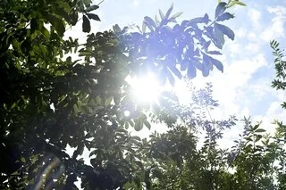 CANICULE : QUATRE DÉPARTEMENTS MAINTENUS EN VIGILANCE ORANGE JUSQU’À JEUDI