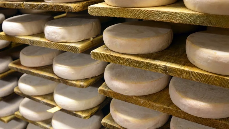 LE MANQUE DE PLUIE A ASSÉCHÉ LES PÂTURAGES: APRÈS LE COMTÉ ET LE BEAUFORT, LES FROMAGES AOP REBLOCHON, CANTAL ET FOURME D’AMBERT OBTIENNENT À LEUR TOUR DES CONDITIONS DE PRODUCTION ASSOUPLIES