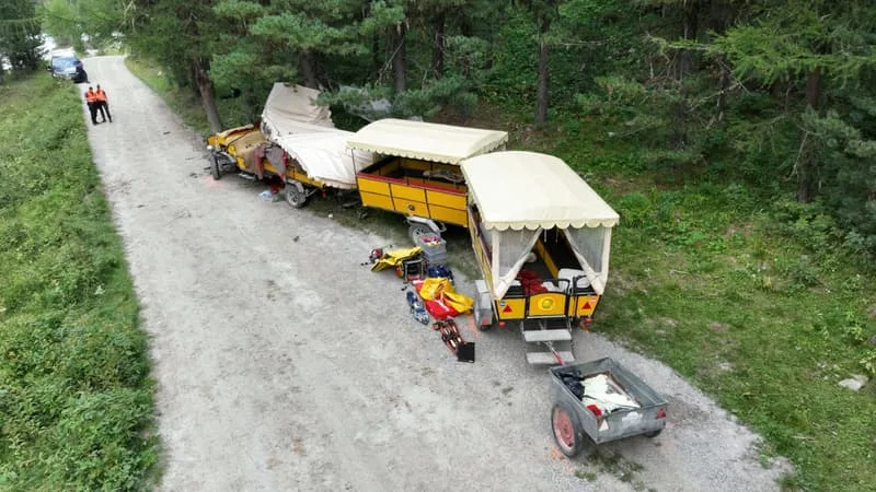 « L’UN DES CHEVAUX EST TOMBÉ »: UN ACCIDENT DE CALÈCHE FAIT UN MORT ET DOUZE BLESSÉS EN SUISSE