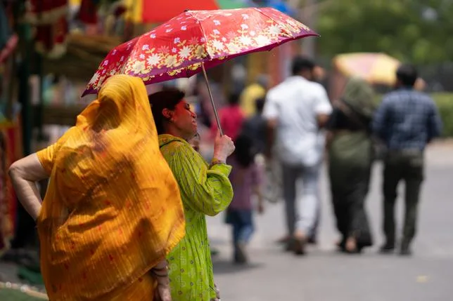 CANICULE : “CLOCHE D’HYDRATATION”, BAIGNOIRE D’IMMERSION… COMMENT DELHI FAIT FACE