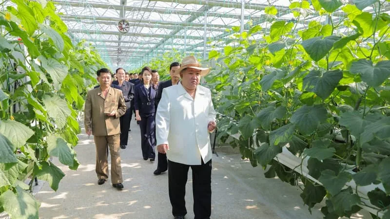 « LE RÉGIME EST PLUS RICHE QUE JAMAIS »: IL Y A DÉSORMAIS DES EMBOUTEILLAGES EN CORÉE DU NORD ET LE PAYS EXPORTE AUTRE CHOSE QUE DES PERRUQUES… COMMENT L’ÉCONOMIE DE PYONGYANG SE REDRESSE MALGRÉ LES SANCTIONS