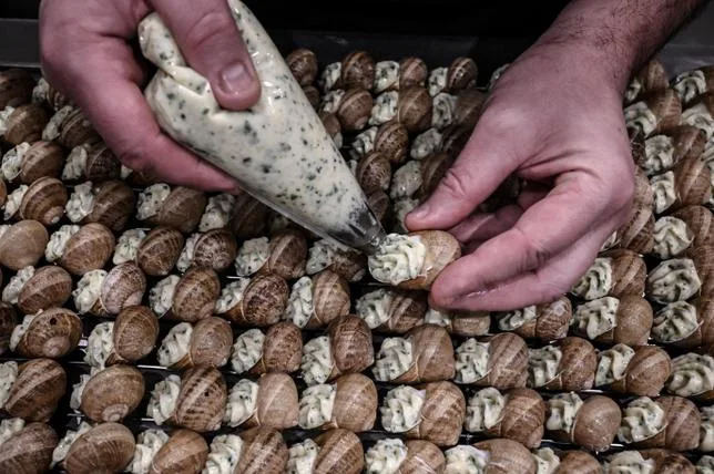 LA PÉNURIE D’ESCARGOTS EN FRANCE, UNE CATASTROPHE