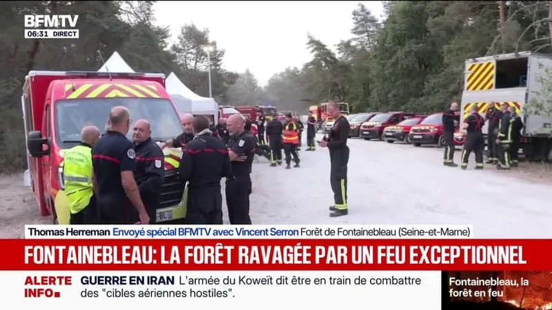 FONTAINEBLEAU: 400 POMPIERS MOBILISÉS, DEUX DASH, DEUX HÉLICOPTÈRES… L’ÉNORME DISPOSITIF POUR LUTTER CONTRE LE FEU