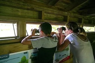 AUX PORTES DU MARAIS POITEVIN, CETTE RÉSERVE DÉVOILE UNE BIODIVERSITÉ REMARQUABLE